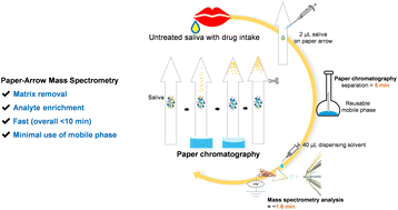 Graphical abstract: Emergency diagnosis made easy: matrix removal and analyte enrichment from raw saliva using paper-arrow mass spectrometry