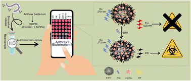 Graphical abstract: Red-emissive carbon nanostructure-anchored molecularly imprinted Er-BTC MOF: a biosensor for visual anthrax monitoring