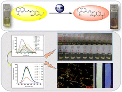 Graphical abstract: An ESIPT solvatochromic fluorescent and colorimetric probe for sensitive and selective detection of copper ions in environmental samples and cell lines