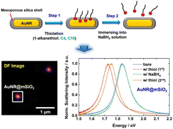 Graphical abstract: In situ reversible tuning of chemical interface damping in mesoporous silica-coated gold nanorods via direct adsorption and removal of thiol