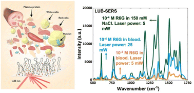 Graphical abstract: Lubricin (PRG-4) anti-fouling coating for surface-enhanced Raman spectroscopy biosensing: towards a hierarchical separation system for analysis of biofluids