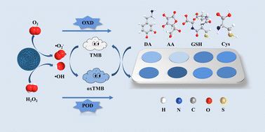 Graphical abstract: Colorimetric sensor arrays for antioxidant recognition based on Co3O4 dual-enzyme activities