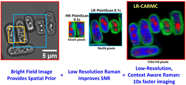 Graphical abstract: Fast Raman imaging through the combination of context-aware matrix completion and low spectral resolution