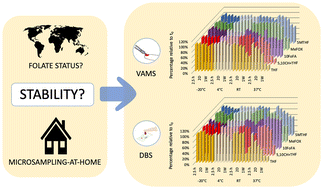 Graphical abstract: Is the stability of folates in dried blood microsamples sufficient to perform home-sampling studies?