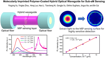 Graphical abstract: Molecularly imprinted polymer-coated hybrid optical waveguides for sub-aM fluorescence sensing
