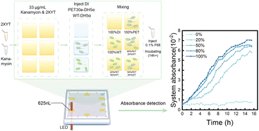 Graphical abstract: Enhanced absorbance detection system for online bacterial monitoring in digital microfluidics