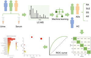Graphical abstract: Machine learning encodes urine and serum metabolic patterns for autoimmune disease discrimination, classification and metabolic dysregulation analysis