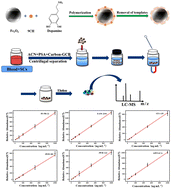 Graphical abstract: Sensitive detection of synthetic cannabinoids in human blood using magnetic polydopamine molecularly imprinted polymer nanocomposites