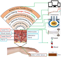 Graphical abstract: High performance nonenzymatic electrochemical sensors via thermally grown Cu native oxides (CuNOx) towards sweat glucose monitoring