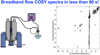 Graphical abstract: Broadband ultrafast 2D NMR spectroscopy for online monitoring in continuous flow