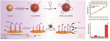 Graphical abstract: Highly catalytic and stable Au@AuPt nanoparticles for visual and quantitative detection of E. coli O157:H7
