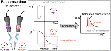 Graphical abstract: Timing matters: the overlooked issue of response time mismatch in pH-dependent analyte sensing using multiple sensors