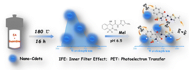 Graphical abstract: An eco-friendly fluorometric assay for high-sensitive meloxicam quantitation in biological matrices