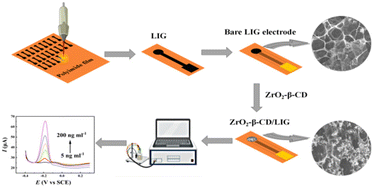 Graphical abstract: Effects of additives on the performance of a laser-induced graphene sensor modified with ZrO2 nanoparticles for OP detection