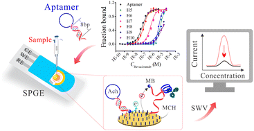 Graphical abstract: A chimeric hairpin DNA aptamer-based biosensor for monitoring the therapeutic drug bevacizumab