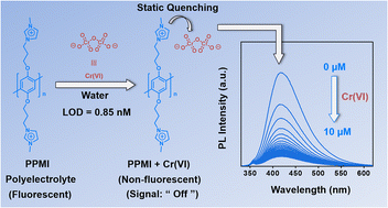 Graphical abstract: A water-soluble conjugated polyelectrolyte for selective and sensitive detection of carcinogenic chromium(vi)