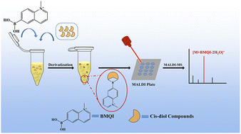 Graphical abstract: A reactive matrix for in situ chemical derivatisation and specific detection of cis-diol compounds by matrix-assisted laser desorption/ionisation mass spectrometry