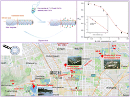 Graphical abstract: A reusable fiber-embedded microfluidic chip for rapid and sensitive on-site detection of kanamycin residues in water environments