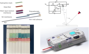 Graphical abstract: Portable dual-channel blood enzyme analyzer for point-of-care liver function detection