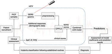 Graphical abstract: Spectroscopic insights into peri-implant mucositis and peri-implantitis: unveiling peri-implant crevicular fluid profiles using surface enhanced Raman scattering