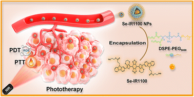 Graphical abstract: A selenium-based NIR-II photosensitizer for a highly effective and safe phototherapy plan