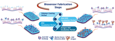 Graphical abstract: Ultrasensitive detection of NSE employing a novel electrochemical immunosensor based on a conjugated copolymer