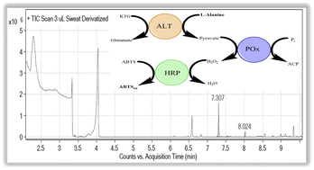 Graphical abstract: Metabolite monitoring concept for the biometric identification of individuals from the skin surface