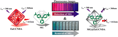 Graphical abstract: A recyclable Eu3+-functionalized dual-emissive metal–organic framework for portable, rapid detection and efficient removal of malachite green