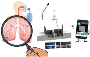 Graphical abstract: A visualization method for quickly detecting nitrite ions in breath condensate using a portable closed bipolar electrochemical sensor