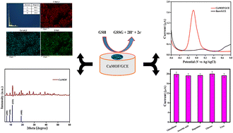 Graphical abstract: A copper metal–organic framework-based electrochemical sensor for identification of glutathione in pharmaceutical samples