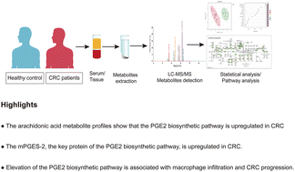 Graphical abstract: The arachidonic acid metabolome reveals elevation of prostaglandin E2 biosynthesis in colorectal cancer