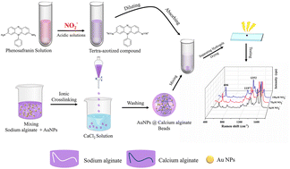 Graphical abstract: A simple and efficient alginate hydrogel combined with surface-enhanced Raman spectroscopy for quantitative analysis of sodium nitrite in meat products