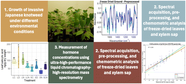Graphical abstract: Attenuated total reflection Fourier-transform infrared spectroscopy for the prediction of hormone concentrations in plants