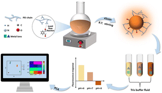 Graphical abstract: Room temperature cost-effective synthesis of carbon quantum dots for fluorescence pattern recognition of metal ions