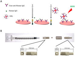 Graphical abstract: SERS-based immunoassay on a plasmonic syringe filter for improved sampling and labeling efficiency of biomarkers