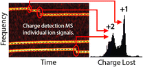 Graphical abstract: Ion emission from 1–10 MDa salt clusters: individual charge state resolution with charge detection mass spectrometry