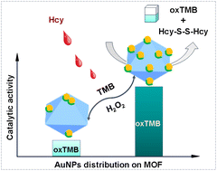 Graphical abstract: MOF–polymer composites with well-distributed gold nanoparticles for visual monitoring of homocysteine