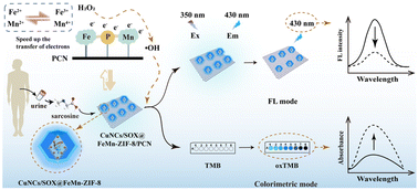Graphical abstract: Fluorescence and colorimetric dual-mode multienzyme cascade nanoplatform based on CuNCs/FeMn-ZIF-8/PCN for detection of sarcosine