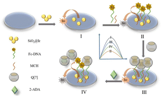 Graphical abstract: Electrochemiluminescence of an iridium complex doped with SiO2 nanoparticles to detect 2-adamantanamine based on the host–guest interaction of cucurbit[7]uril