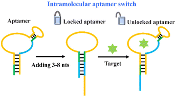 Graphical abstract: Intramolecular aptamer switches