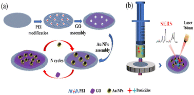 Graphical abstract: Constructing graphene oxide/Au nanoparticle cellulose membranes for SERS detection of mixed pesticide residues in edible chrysanthemum