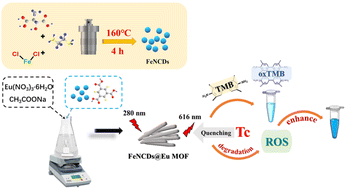 Graphical abstract: Eu MOF-enhanced FeNCD nanozymes for fluorescence and highly sensitive colorimetric detection of tetracycline
