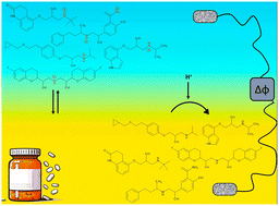 Graphical abstract: Electrochemical screening of selected β-blockers at a polarized liquid–liquid interface