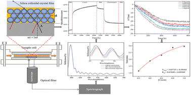 Graphical abstract: Measurement of enzyme activity of insoluble substrates based on ordered porous layer interferometry and the application in evaluation of thrombolytic drugs