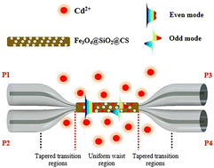 Graphical abstract: Fiber optic cadmium ion sensors based on functionalization of a magnetic ion-imprinted polymer