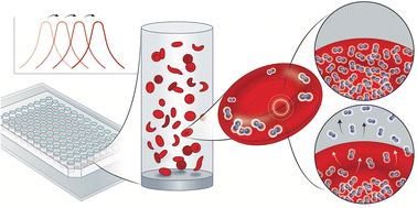 Graphical abstract: Rapid measurement of hemoglobin-oxygen dissociation by leveraging Bohr effect and Soret band bathochromic shift