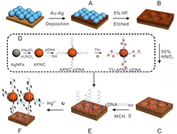 Graphical abstract: Unique three-dimensional ordered macroporous dealloyed gold–silver electrochemical sensing platforms for ultrasensitive mercury(ii) monitoring