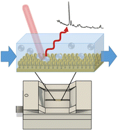 Graphical abstract: A 3D printed sheath flow interface for surface enhanced Raman spectroscopy (SERS) detection in flow