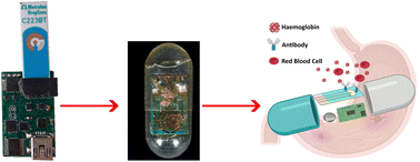 Graphical abstract: A low-cost miniature immunosensor for haemoglobin as a device for the future detection of gastrointestinal bleeding