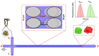 Graphical abstract: Manipulating the insulating post arrangement in DC-biased AC-iEK devices to improve microparticle separations